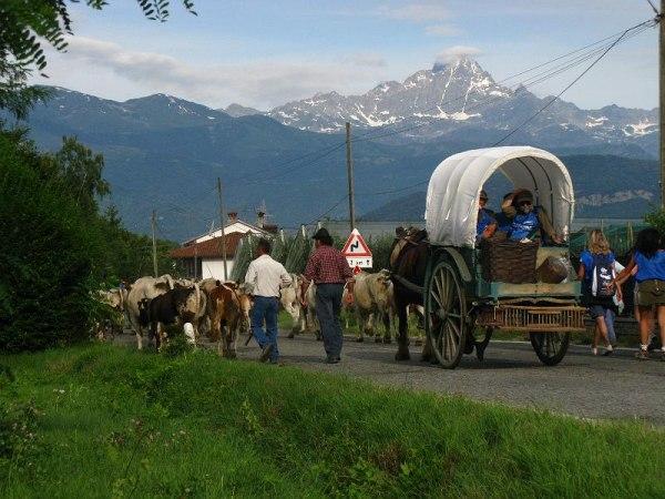 verso Viso 2.jpg - Le mandrie puntano verso la valle Po,
